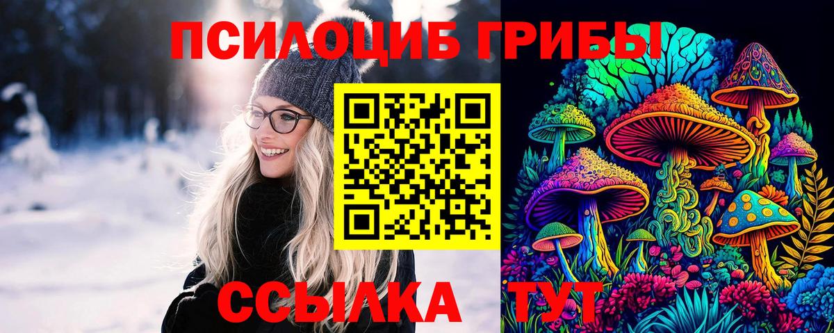 Псилоцибиновые грибы мицелий Губкин