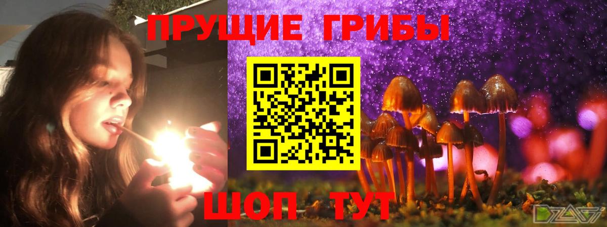 Губкин  Псилоцибиновые грибы Psilocybe  купить наркотики цена  Вход с VPN 